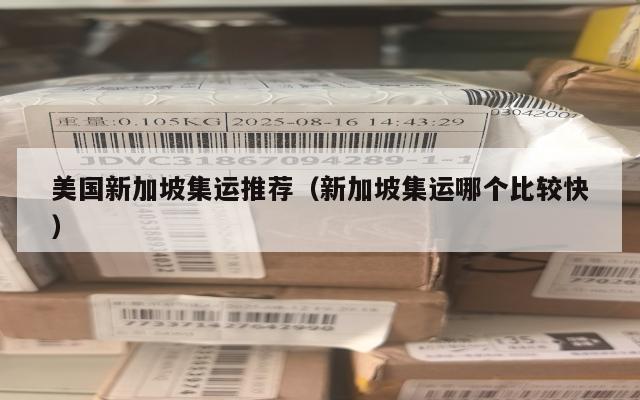 美国新加坡集运推荐（新加坡集运哪个比较快）