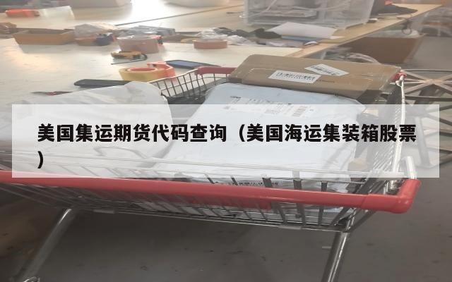 美国集运期货代码查询（美国海运集装箱股票）