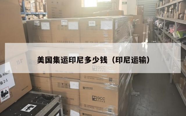 美国集运印尼多少钱（印尼运输）