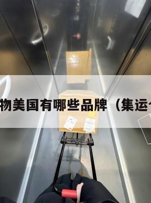 集运植物美国有哪些品牌（集运仓美国）