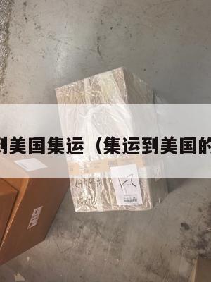 国际到美国集运（集运到美国的公司）