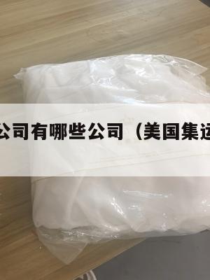 美国集运公司有哪些公司（美国集运仓怎么收费）