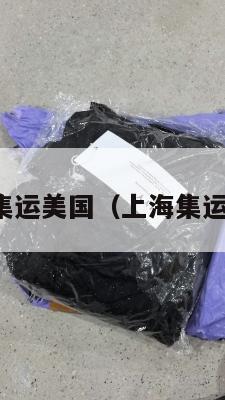 上海集运美国（上海集运公司）