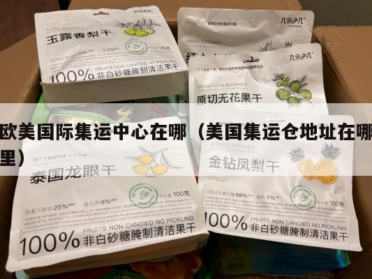 欧美国际集运中心在哪（美国集运仓地址在哪里）