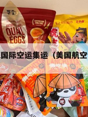 美国JFK国际空运集运（美国航空快递公司）