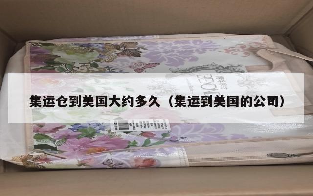 集运仓到美国大约多久（集运到美国的公司）