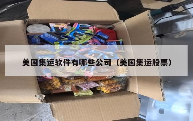 美国集运软件有哪些公司（美国集运股票）