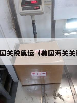 美国关税集运（美国海关关税）