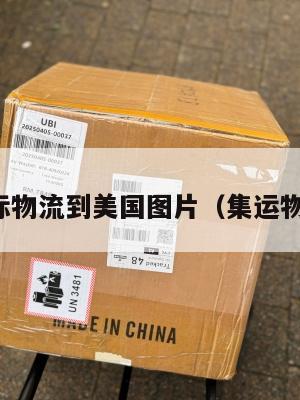 集运国际物流到美国图片（集运物流平台）