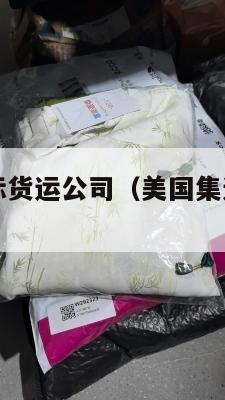 美国集运国际货运公司（美国集运仓有假的吗）