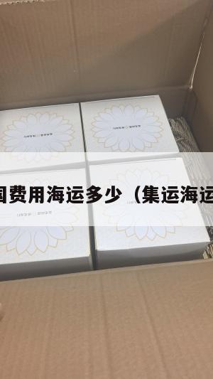 集运美国费用海运多少（集运海运到美国）