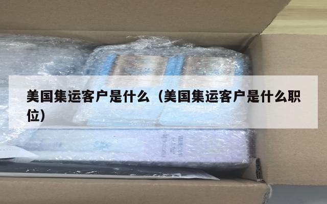 美国集运客户是什么（美国集运客户是什么职位）