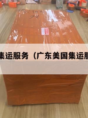 广东美国集运服务（广东美国集运服务中心电话）