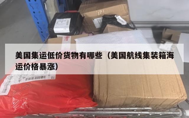 美国集运低价货物有哪些（美国航线集装箱海运价格暴涨）