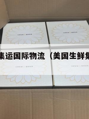 美国生鲜集运国际物流（美国生鲜集运国际物流要多久）