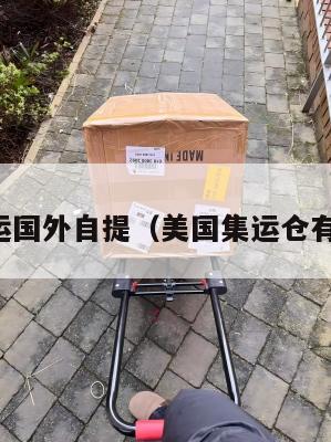 美国集运国外自提（美国集运仓有假的吗）