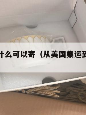 美国集运什么可以寄（从美国集运到中国多少钱）