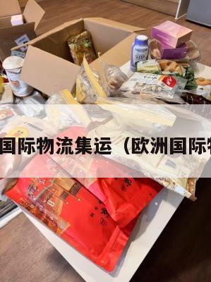 欧美国际物流集运（欧洲国际物流）