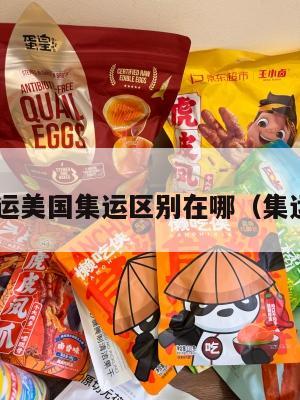 欧洲集运美国集运区别在哪（集运 美国）