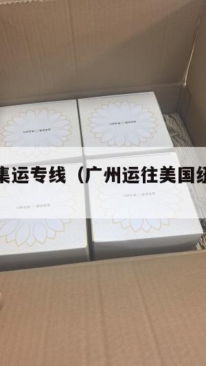 广州美国集运专线（广州运往美国纽约的海运航线）
