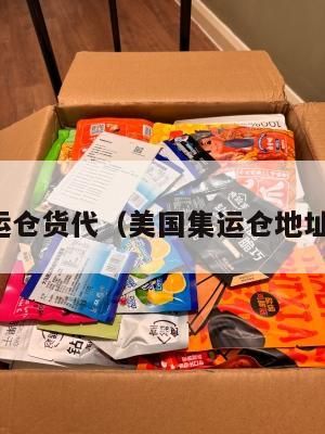 美国集运仓货代（美国集运仓地址在哪里）