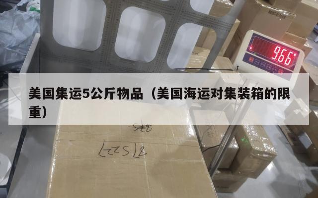 美国集运5公斤物品（美国海运对集装箱的限重）