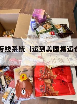 美国集运专线系统（运到美国集运仓怎么联系）