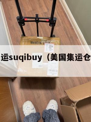 美国集运suqibuy（美国集运仓怎么收费）