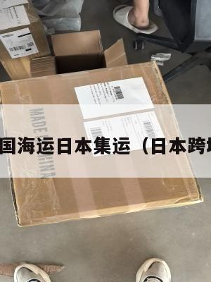 横跨美国海运日本集运（日本跨境海运）
