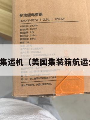 美国集运机（美国集装箱航运公司）