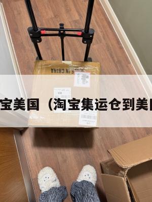 集运淘宝美国（淘宝集运仓到美国多久）