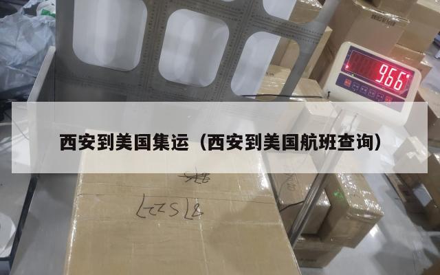 西安到美国集运（西安到美国航班查询）