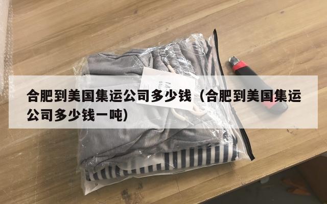 合肥到美国集运公司多少钱（合肥到美国集运公司多少钱一吨）