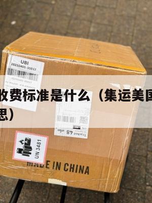 集运美国收费标准是什么（集运美国收费标准是什么意思）