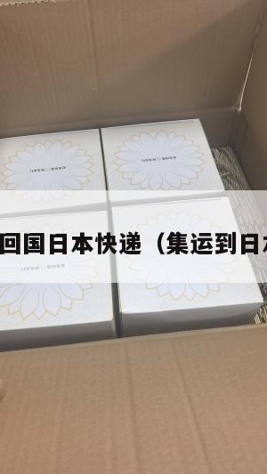 集运美国回国日本快递（集运到日本要多久）