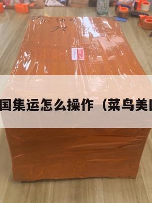 菜鸟美国集运怎么操作（菜鸟美国集货）