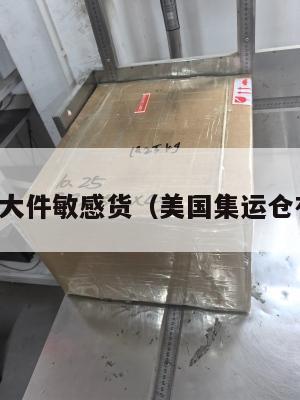 美国集运大件敏感货（美国集运仓有假的吗）