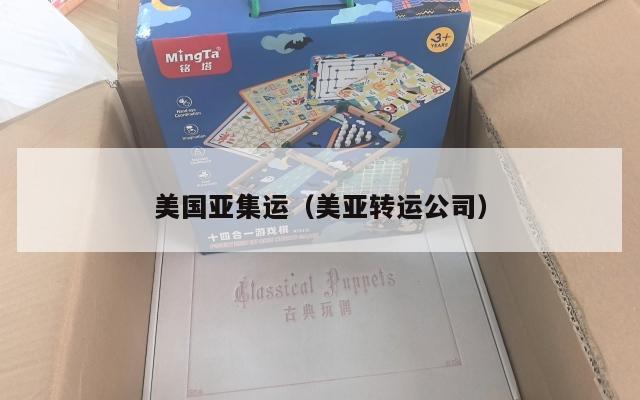 美国亚集运（美亚转运公司）