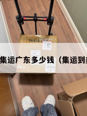 美国集运广东多少钱（集运到美国）