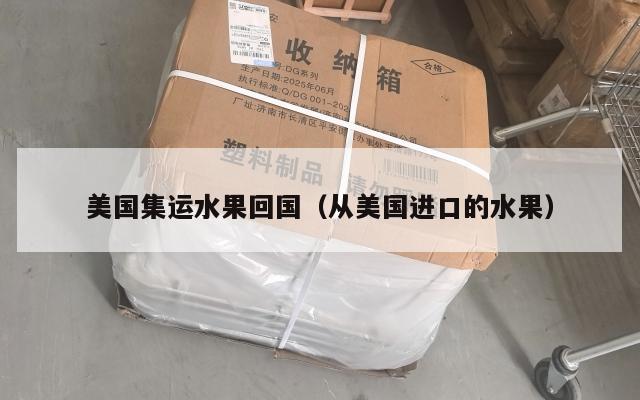 美国集运水果回国（从美国进口的水果）