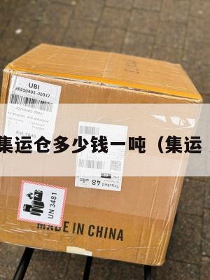 美国集运仓多少钱一吨（集运 美国）