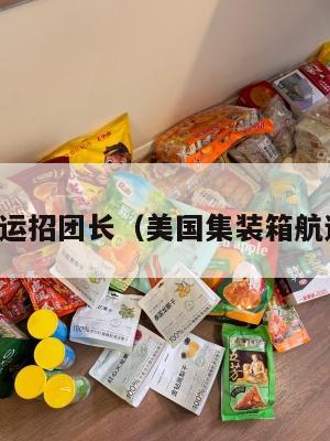 美国集运招团长（美国集装箱航运公司）