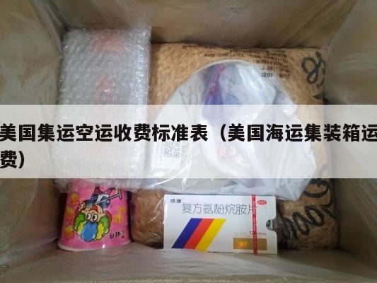 美国集运空运收费标准表（美国海运集装箱运费）