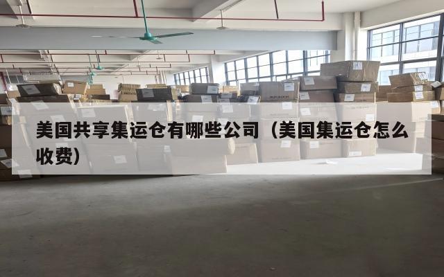 美国共享集运仓有哪些公司（美国集运仓怎么收费）