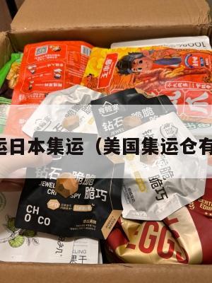 美国集运日本集运（美国集运仓有假的吗）