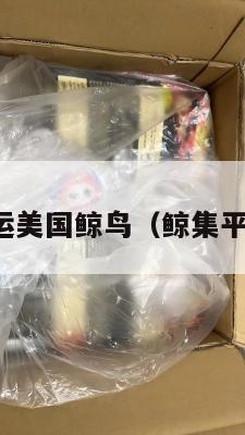 集运美国鲸鸟（鲸集平台）