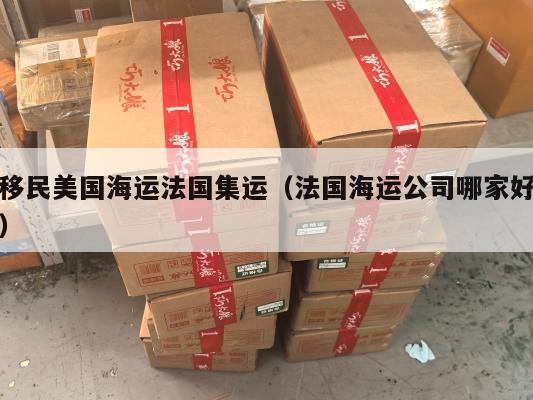 移民美国海运法国集运（法国海运公司哪家好）