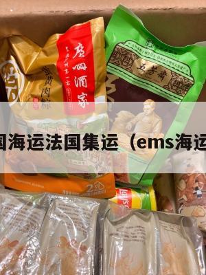 留学美国海运法国集运（ems海运到法国）