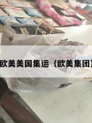 欧美美国集运（欧美集团）