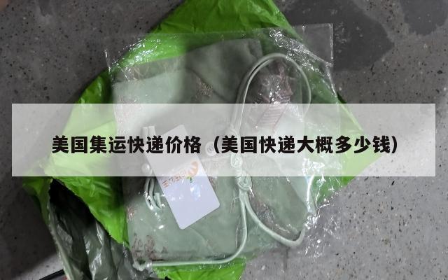 美国集运快递价格（美国快递大概多少钱）
